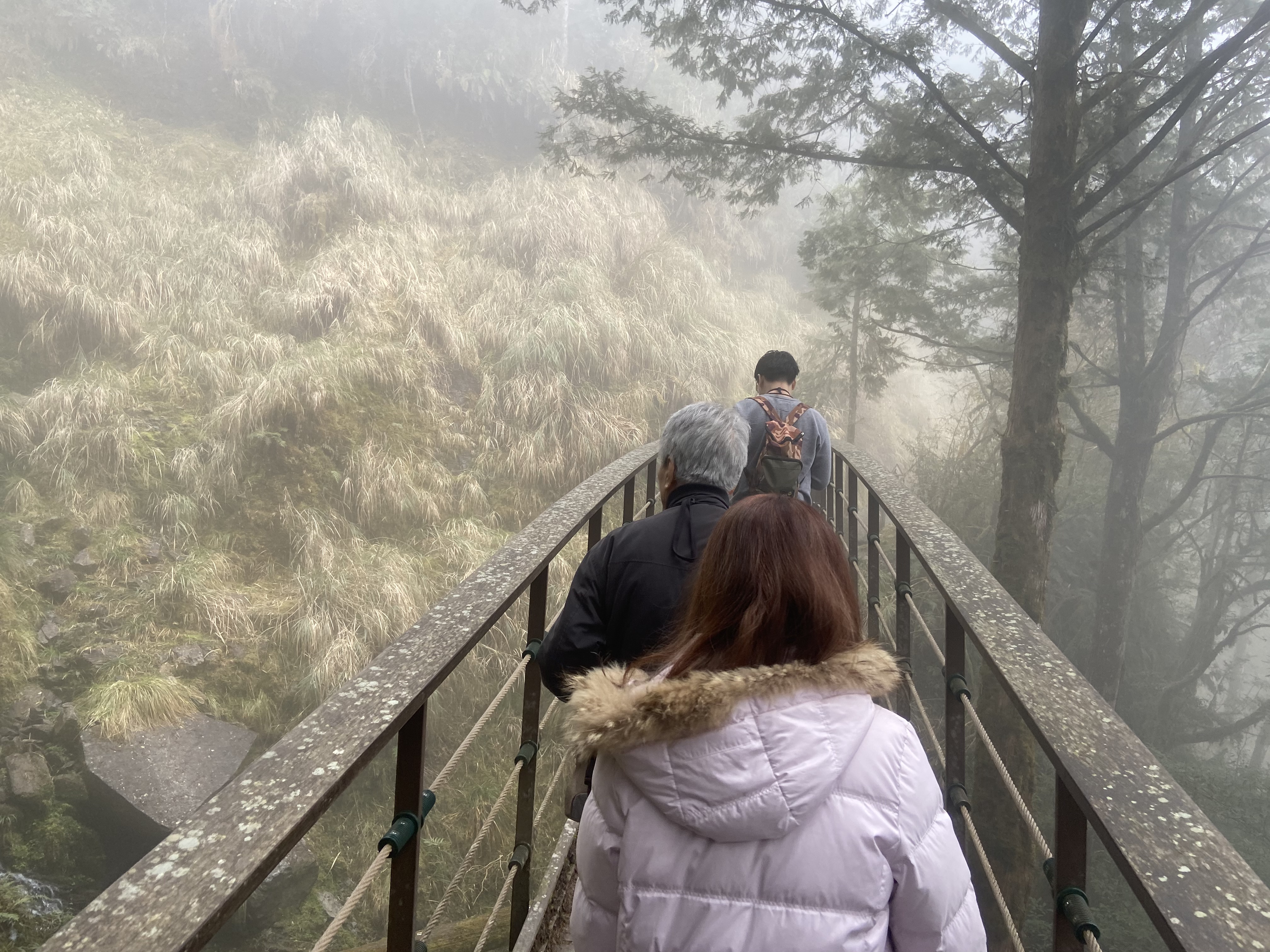 路徑一|太平山情事